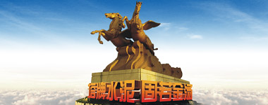 新宝GG—创立事业平台